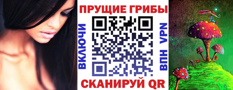 Галлюциногенные грибы прущие грибы  Купить  Гулькевичи 